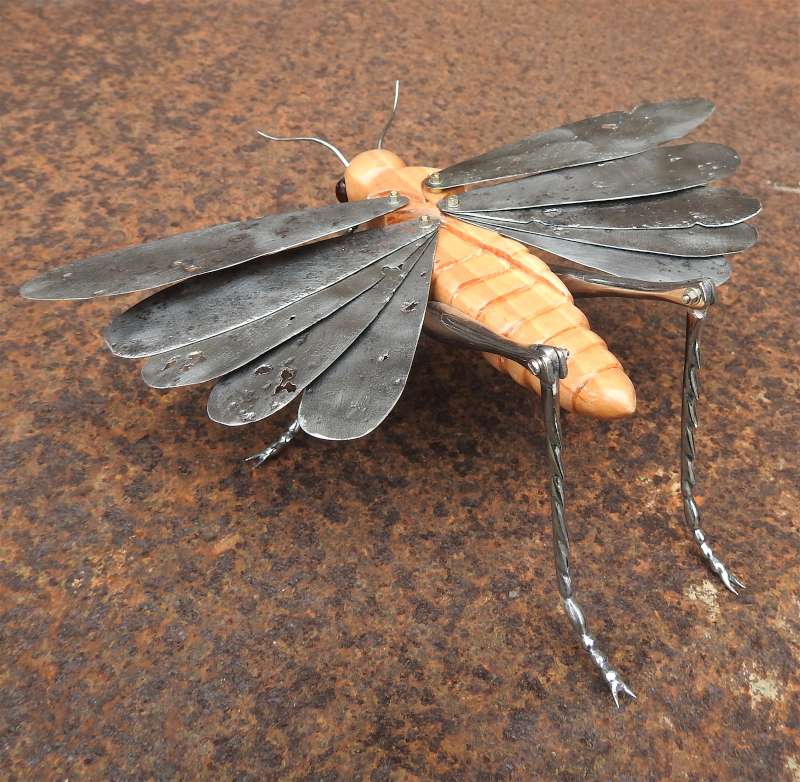 Grasshopper